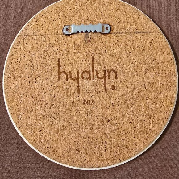 Hyalyn Ceramic round 5" Wall Mount Trivet #507, Mint condition Fruit Motif - Picture 4 of 4